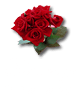 Exclusive Introduction & Japan marriage agency "Harmony" for European Ladies